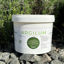 Charger l'image dans la galerie, ARGILUM - Soutien Digestif