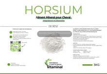 Charger l'image dans la galerie, HORSIUM - Santé Nerveuse, Osseuse et Articulaire