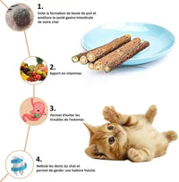 Charger l'image dans la galerie, Matatabi pour chat