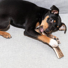 Charger l'image dans la galerie, Bois de cerf pour chien tranché