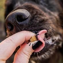 Charger l'image dans la galerie, Friandise naturelle pour chien et chat 100% Crevettes