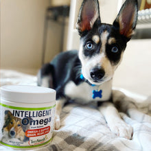 Charger l'image dans la galerie, Intelligent Oméga — Santé Cérébrale, Cardio-Vasculaire et Occulaire