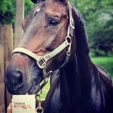 Charger l'image dans la galerie, Curamax™ — Curcumine Concentrée pour Chevaux — Santé articulaire