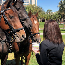 Charger l'image dans la galerie, Curamax™ — Curcumine Concentrée pour Chevaux — Santé articulaire