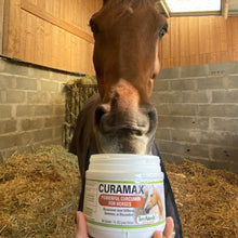 Charger l'image dans la galerie, Curamax™ — Curcumine Concentrée pour Chevaux — Santé articulaire