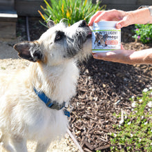 Charger l'image dans la galerie, Intelligent Oméga — Santé Cérébrale, Cardio-Vasculaire et Occulaire