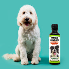 Charger l'image dans la galerie, Oméga Skincare — Santé de la peau