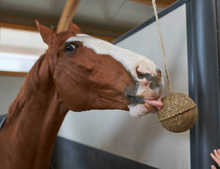 Charger l'image dans la galerie, Unika Balls - Herbes