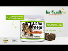 Charger et lire la vidéo dans la visionneuse de la Galerie, Intelligent Oméga — Santé Cérébrale, Cardio-Vasculaire et Occulaire