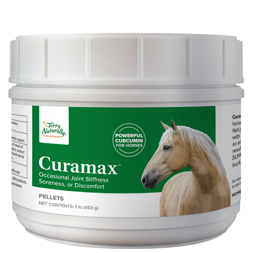 Curamax™ — Curcumine Concentrée pour Chevaux — Santé articulaire