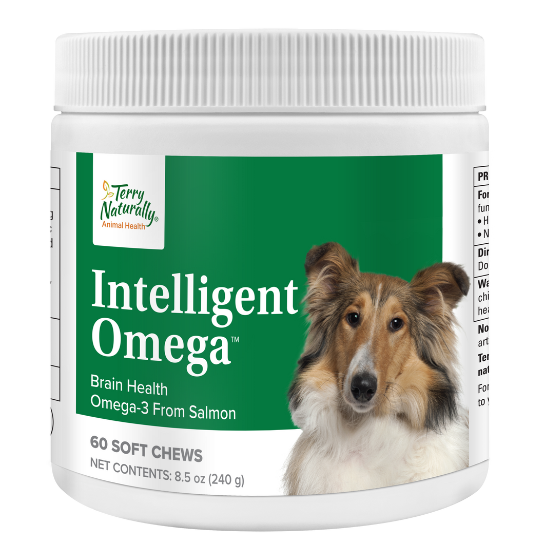 Intelligent Oméga — Friandise intelligente pour chiens  — Santé Cérébrale, Cardio-Vasculaire et Occulaire