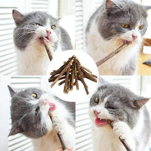 Charger l&#39;image dans la galerie, Matatabi pour chat
