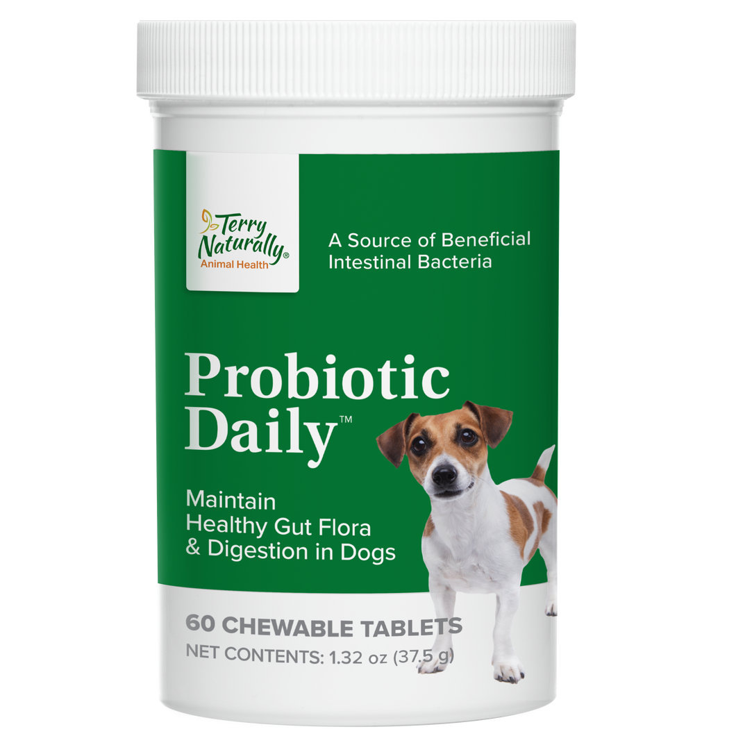 Probiotic Daily™ — Santé Intestinale — Comprimé à Mâcher