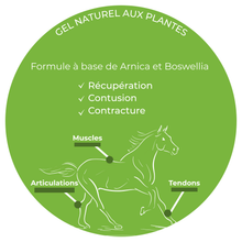 Charger l'image dans la galerie, TENDIMAX — Gel de Récupération Naturel pour Tendons &amp; Muscles du Cheval
