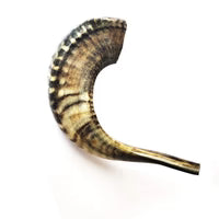 Charger l&#39;image dans la galerie, Corne de mouton pour chien
