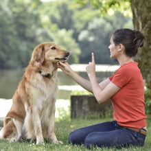 Charger l&#39;image dans la galerie, Friandise naturelle pour chien 100% Boeuf
