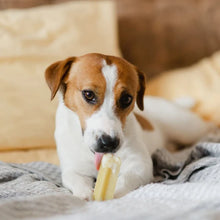 Charger l&#39;image dans la galerie, Fromage Yaka&#39;Mâcher pour chien

