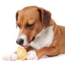 Charger l&#39;image dans la galerie, Fromage &quot;Cheezy Dog&quot; soufflé pour chien
