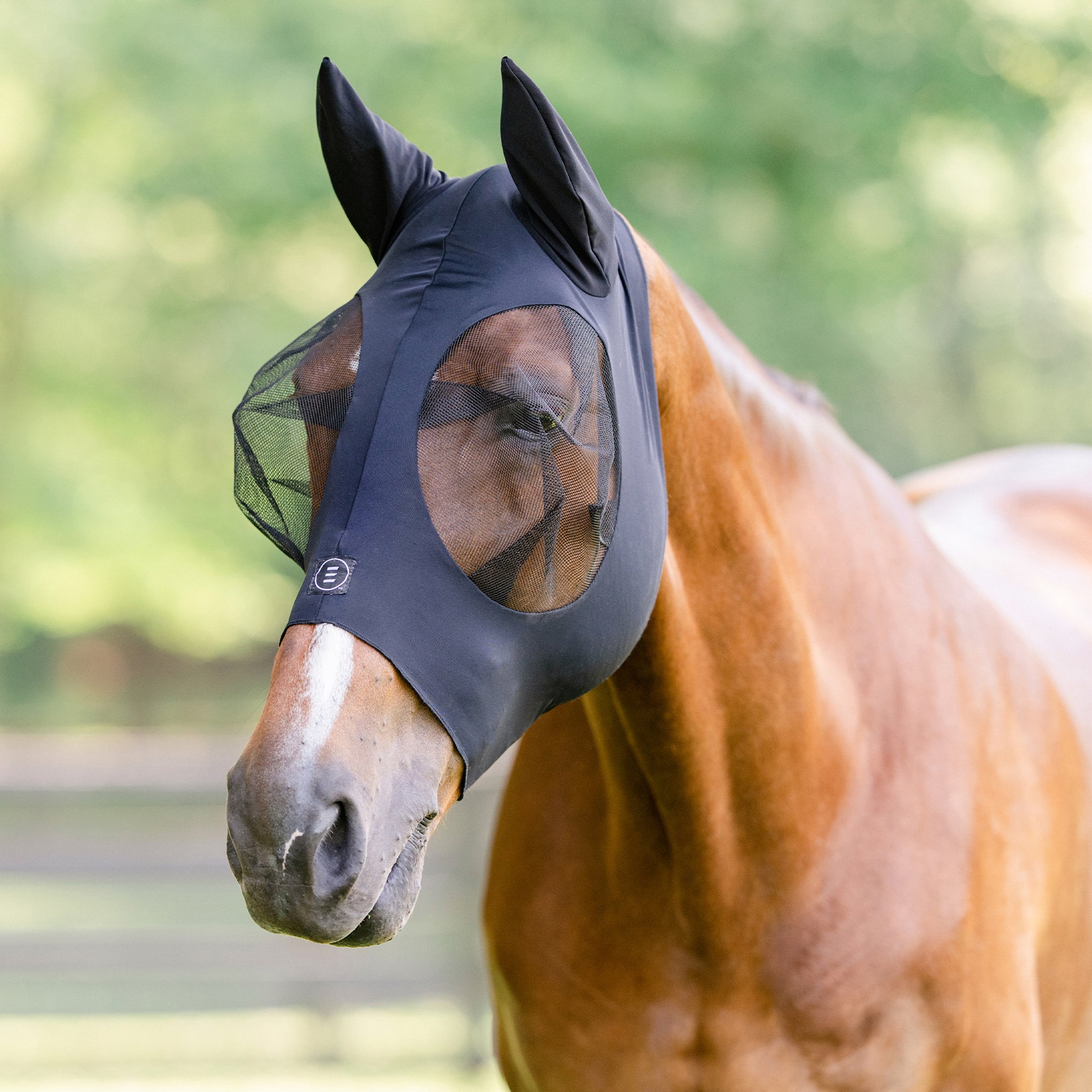 Masque Anti-mouches EquiFit Surdimensionné Pour Cheval – Neuf, Protection équine