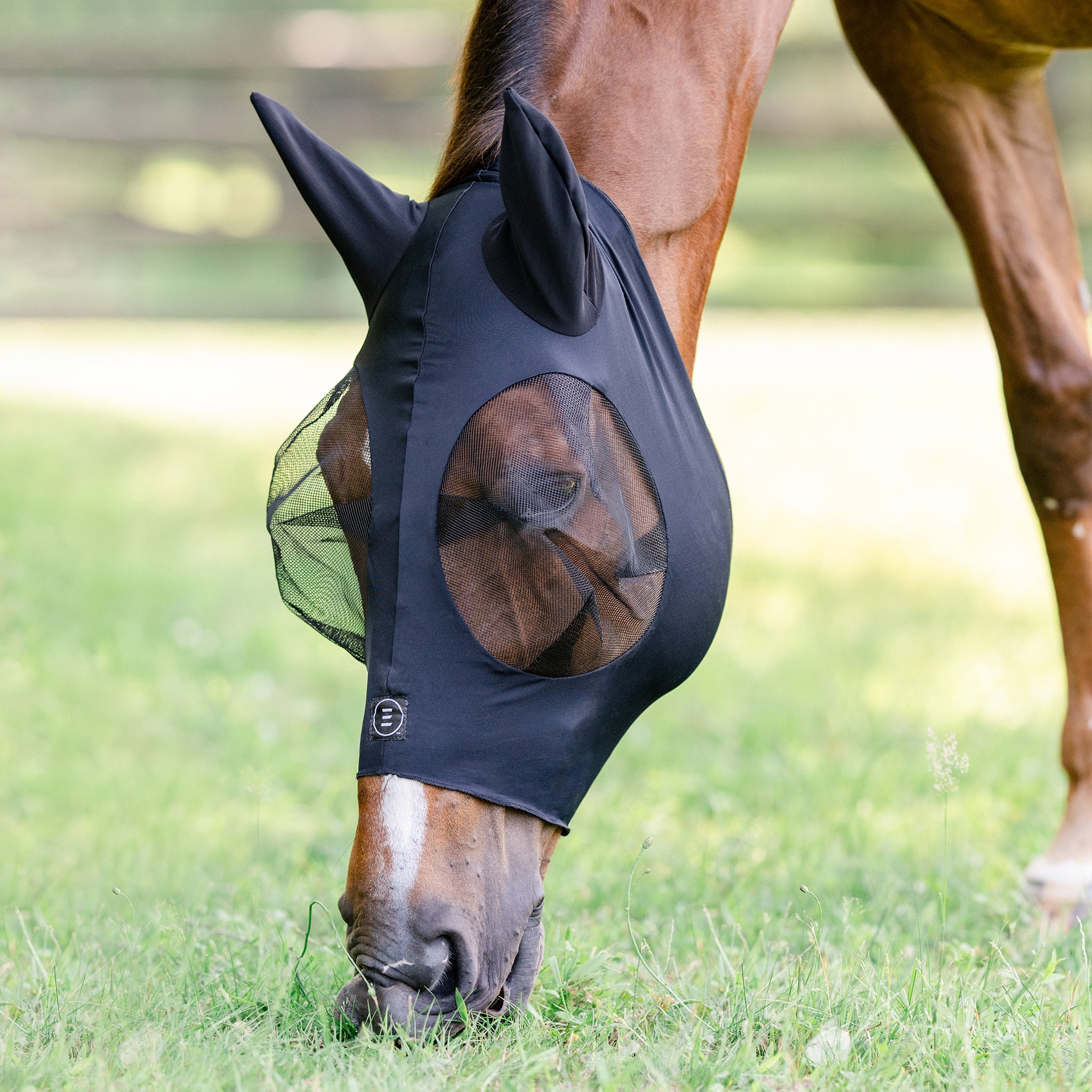 Masque anti mouche cheval, masque franges, Cavalhorse, Le Paturon